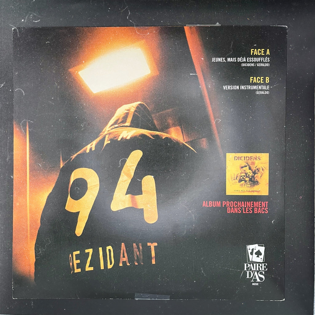 Lot de 10 Vinyles Rap Français